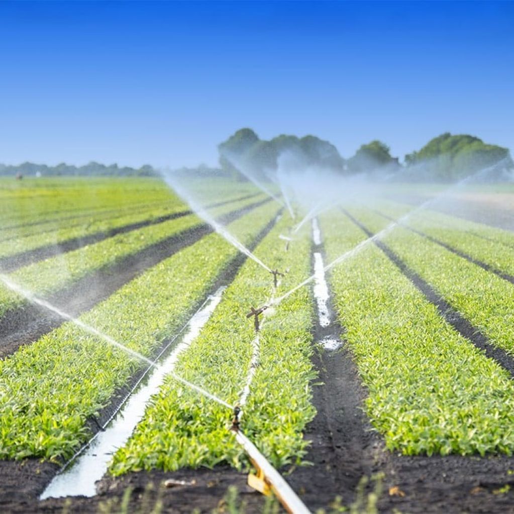 Vital Water Systems 2